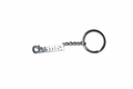 Champion Everlasting Chemist Metal Keychain – Science Pride Edition